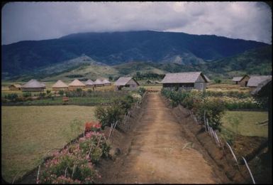 Looking from our back door towards the Native Hospital; the round houses are staff quarters : Minj Station, Wahgi Valley, Papua New Guinea, 1954 / Terence and Margaret Spencer