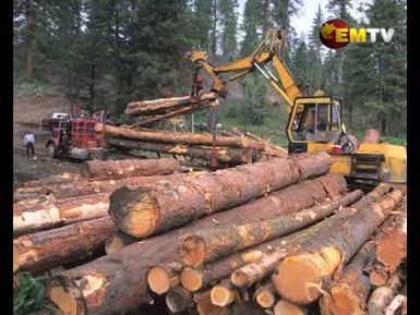 Forest Minister Respond to Landowner Issues