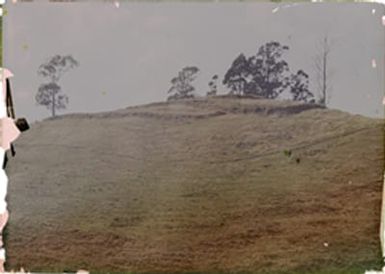 New Zealand?, Hills and Trees