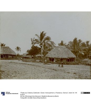 ["\"Partie aus Gataivai, Südküste v. Savaii. Kokospalmen u. Pandanus. Samoa.\""]