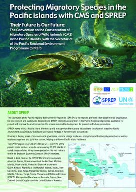 Protecting Migratory Species in the Pacific islands with CMS and SPREP