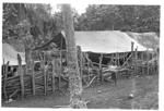 Temporary shelter for guests at Kepu's funeral, Fata'ulua.