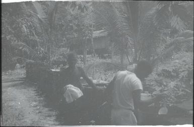 Looking for anopheline mosquito larvae (3) : Nissan Island, Papua New Guinea, 1960 / Terence and Margaret Spencer