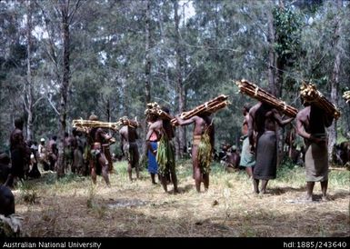 Carrying stacks of bamboo canes