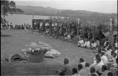 Fieldwork in Fiji