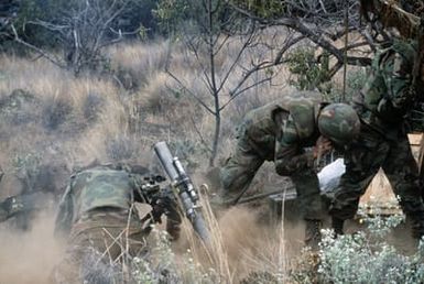 Members of Weapons Company, 1ST Battalion, 3rd Marines, fire an M-29 81mm mortar during Operation Valiant Fire II