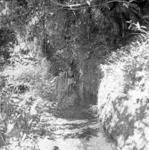 Children standing by a stream