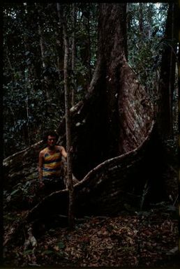 Man standing next to large tree roots in bush, Niue