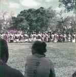 Lakalaka Laione, Palace grounds. Showing the lakalaka to the King a few days prior to public performance at Coronation celebrations.