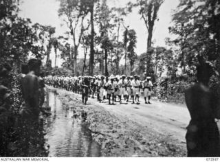 TOROKINA, BOUGAINVILLE, SOLOMON ISLANDS. 1945-09-19. JAPANESE PRISONERS OF WAR WHO WERE BROUGHT BY BARGE FROM BUIN, MARCH PAST THE CAMP OF U HEAVY BATTERY, ROYAL AUSTRALIAN ARTILLERY IN MATHESON ..