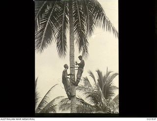MADANG, NEW GUINEA. C. 1944-10. 27847 FLYING OFFICER J. E. BROOMHEAD, DUNLEITH, SA AND 116172 LEADING AIRCRAFTMAN J. S. LEE, STRATHALLYN, SA, CARRYING OUT MAINTENANCE WORK ON THE AERIAL OF RAAF ..