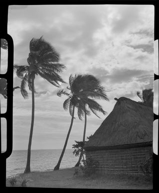 A bure beside the sea at Vuda village, Fiji