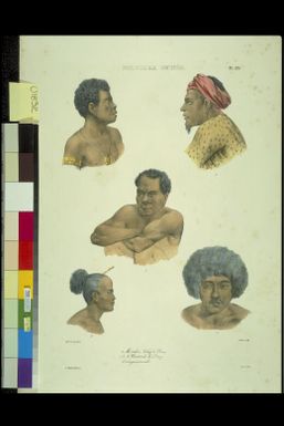 [Portraits of five Papuans] de Sainson pinx.; Lebour lith