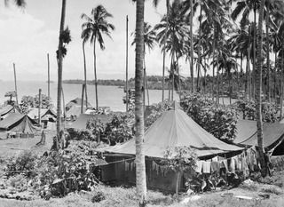 Madang, New Guinea, 1945-08. At Headquarters, RAAF Northern Commnad (NORCOM), the RAAF sergeants' and airmen's tents stand among tropical palm trees on the shores of Astrolabe Bay. Clothing, towels ..