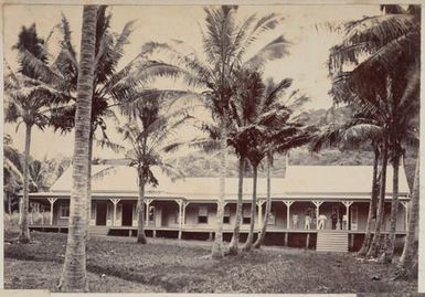 A building among palm trees. From the album: Cook Islands