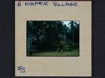 A Maprik village, 1959?
