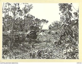 TSIMBA AREA, BOUGAINVILLE ISLAND. 1945-02-17. THE 25 POUNDER GUNS OF E TROOP, NO. 12 BATTERY, 4TH FIELD REGIMENT IN THE POSITION WHERE THEY WERE LANDED BEFORE BEING DUG IN