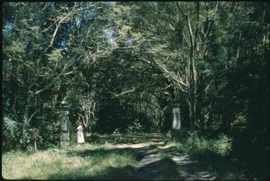 Site of German house : Rabaul, New Britain, Papua New Guinea, 1971 / Terence and Margaret Spencer