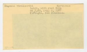 [Eugenia vieillardii in New Caledonia, envelope IE41-191]