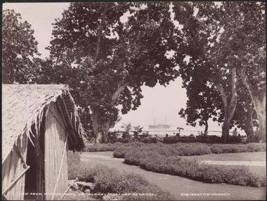 The Southern Cross viewed from the mission house, Lamalana, Raga, New Hebrides, 1906 / J.W. Beattie