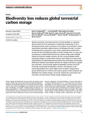 Biodiversity loss reduces global terrestrial carbon storage