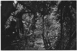 Bridge-building: man walks on newly finished bridge