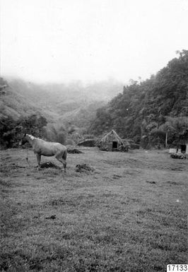 landscape, forest, house of devotions, houses, huts, horse, village, hills, animals, prayer houses, forest meadow, village plan, photograph, landskap ph