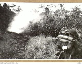 SATTELBERG AREA, NEW GUINEA. 1943-11-17. TROOPS OF THE 2/48TH AUSTRALIAN INFANTRY BATTALION MOVING THROUGH THICK TROPICAL UNDERGROWTH BEHIND AN ADVANCING TANK OF THE 1ST AUSTRALIAN ARMY TANK ..