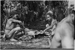 Pig festival, uprooting cordyline ritual, Tsembaga: display of shell valuables at sacrifice of female pig to spirits of high ground