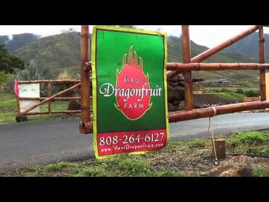 PBS Hawaii - HIKI NŌ Episode 615 | Kamehameha Schools Maui Middle | Dragonfruit Farm