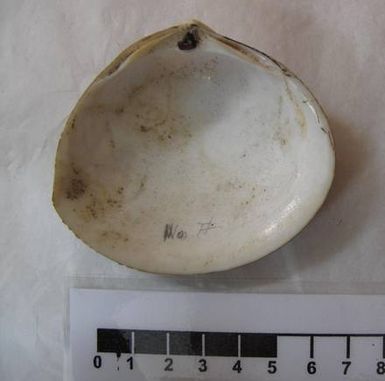 shell