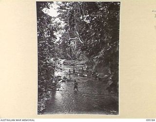 ENGULT RIVER, NEW GUINEA, 1945-08-11. A BATHING AND WASHING POINT IN THE RIVER FOR TROOPS OF 2/7 INFANTRY BATTALION