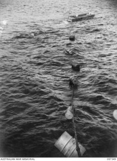 BOERA POINT, NEW GUINEA. 1943-10-01. DRUMS SUPPORTING CABLE BEING TOWED TOWARDS THE SHORE FROM THE SS MERNOO MARINE CABLE LAYING SHIP