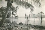 Tahitian fishermen drying their nets