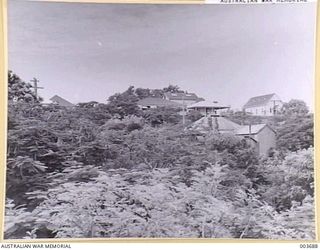 PORT MORESBY - RESIDENCES ARE SET AMIDST GROWTH LIKE THIS. RAAF SURVEY FLIGHT. (NEGATIVE BY N. TRACY)