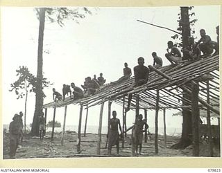 TOKO, BOUGAINVILLE, SOLOMON ISLANDS. 1945-03-21. NATIVES PITCH A ROOF DURING THE CONSTRUCTION OF WARDS FOR THE 11TH FIELD AMBULANCE, AUSTRALIAN ARMY MEDICAL CORPS IN PREPARATION FOR BATTLE ..