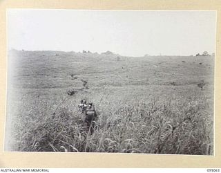BERIMU, NEW GUINEA, 1945-08-05. TROOPS OF 2/7 INFANTRY BATTALION MOVING ACROSS A KUNAI GRASS PLAIN IN HEAVY RAIN DURING A SIX DAY PATROL INTO ENEMY TERRITORY. FOR THE MOST PART THEIR TRAIL COVERED ..