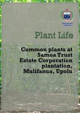 Plant Life : Common plants at Samoa Trust Estate Corporation plantation, Mulifanua, Upolu