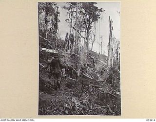 WEWAK AREA, NEW GUINEA. 1945-06-27. NATIVE CARRIERS BRINGING UP FOOD TO B COMPANY, 2/8 INFANTRY BATTALION FORWARD POSITIONS ON HILL 2