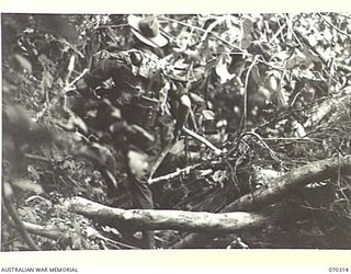 MALALAMAI, YAGOMAI, NEW GUINEA, 1944-02-09. PRIVATE P.T. BATES, A MEMBER OF "D" COMPANY, 30TH INFANTRY BATTALION PICTURED ON THE TRACK BETWEEN MALALAMAI AND YAGOMAI