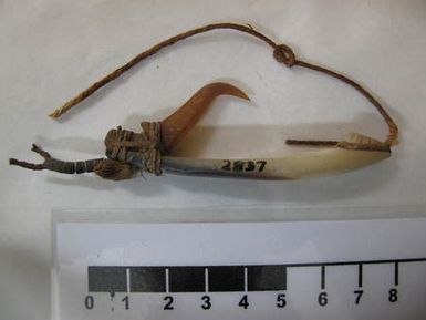 fish hook