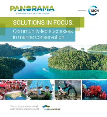 Solutions in focus: community-led successes in marine conservation.