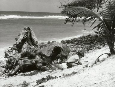 Pacific Islands - Cook Islands - Rarotonga - Scenics