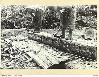 BOUGAINVILLE ISLAND. 1945-02-12. N352065 SAPPER E. DONOGUE (1) AND N196278 SAPPERC.L. PECK (2) 5TH FIELD COMPANY, HEWING A BANK SEAT FOR A NEW 24 TON BRIDGE WHICH THE UNIT IS BUILDING ON THE ..