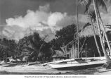 Sailboats and native dwellings on the beach facing the lagoon, Likiep Atoll, August 20, 1949