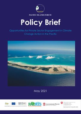 Policy Brief: Opportunities for Private Sector Engagement in Climate Change Action in the Pacific