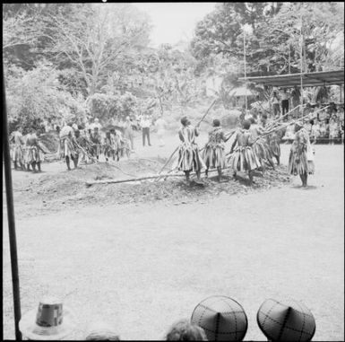 Fijian men, dressed in traditional costumes, adding vines to the stones in the fire, Fiji, 1966 / Michael Terry