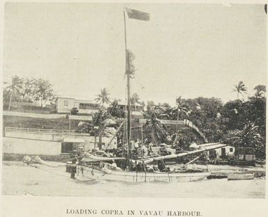 Loading copra in Vavau Harbour