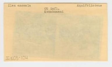 [Ilex anomala in Hawaii, envelope IE03-104]