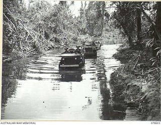 BOUGAINVILLE ISLAND. 1945-01-24. JEEPS OF HEADQUARTERS, 7TH INFANTRY BRIGADE NEGOTIATING A ROAD FLOODED BY THE TIDAL OVERFLOW FROM THE TAVERA RIVER